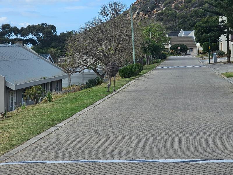 0 Bedroom Property for Sale in Vakansieplaas Western Cape
